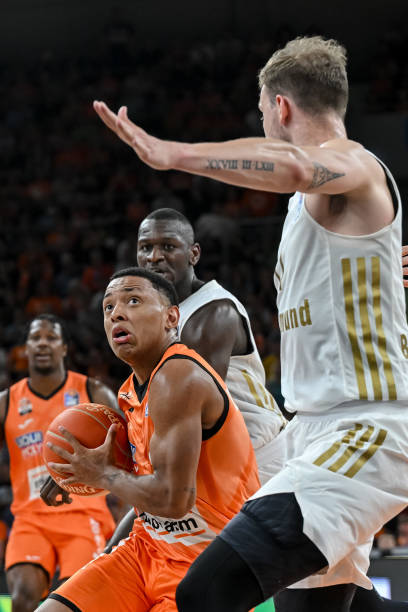 转会中的灰 转会中的灰