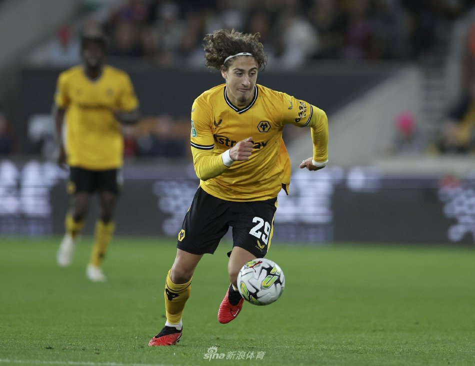 的潜力股 的潜力股