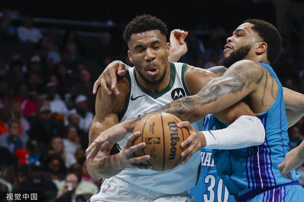 在比赛组织 在比赛组织